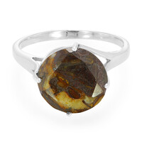 Zilveren ring met een dinosaurus kwarts