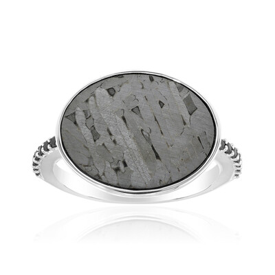 Zilveren ring met een Aletai meteoriet