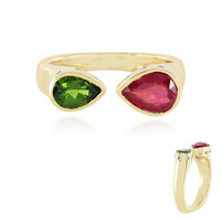 Zilveren ring met een Bemainty robijn (Adela Silber)