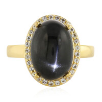 Zilveren ring met een Indische Ster Diopsied