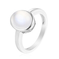 Zilveren ring met een Tanzania Regenboog Maansteen
