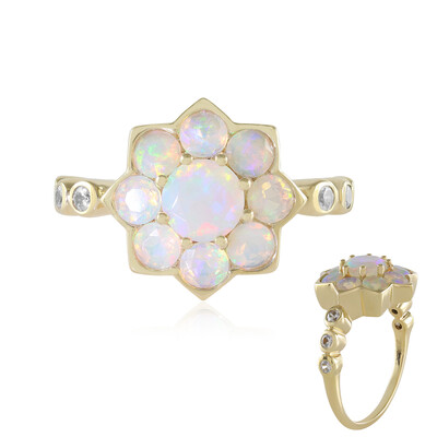 Gouden ring met een Welo-opaal (de Melo)