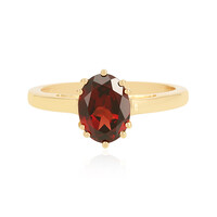 Zilveren ring met een Mozambique granaat
