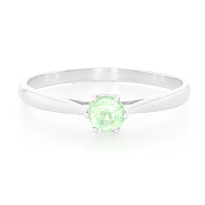 Zilveren ring met een Munt Kyaniet