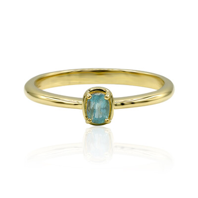 Gouden ring met een Grandidiriet (AMAYANI)