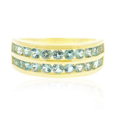 Gouden ring met Nigeriaanse Paraiba Toermalijnen