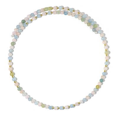 Stalen halsband met berillen (Riya)