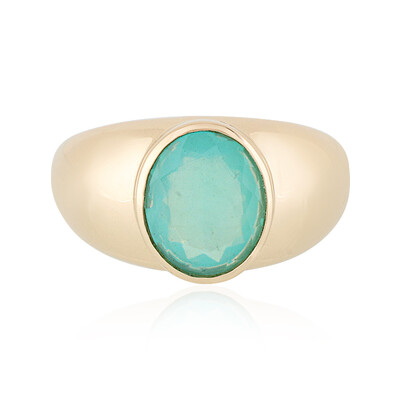 Gouden ring met een Paraibe opaal (AMAYANI)