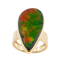 Gouden ring met een ammoliet (de Melo)