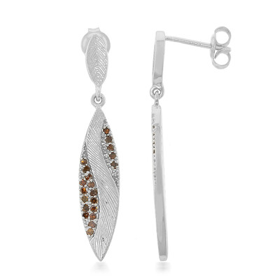 Zilveren oorbellen met Fancy diamanten