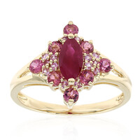 Gouden ring met een robijn