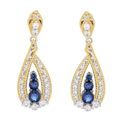Zilveren oorbellen met blauwe saffieren (Gems en Vogue)