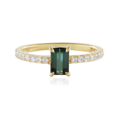 Zilveren ring met een groene Benedito toermalijn (Adela Silber)