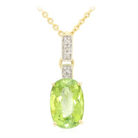 Gouden halsketting met een Paraiba toermalijn (AMAYANI)