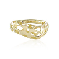 Gouden ring (Ornaments by de Melo)