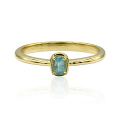 Gouden ring met een Grandidiriet (AMAYANI)