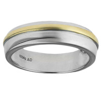 Zilveren ring