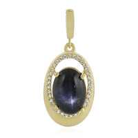 Zilveren hanger met een Indische Ster Diopsied