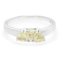 Zilveren ring met xia-apetieten