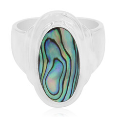 Zilveren ring met een Abalone schelp