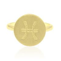 Zilveren ring