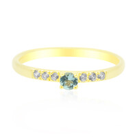 Gouden ring met een Nigeriaanse Paraiba Toermalijn