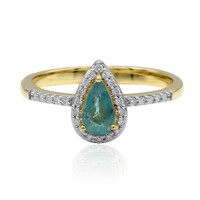 Gouden ring met een Grandidieriet (AMAYANI)