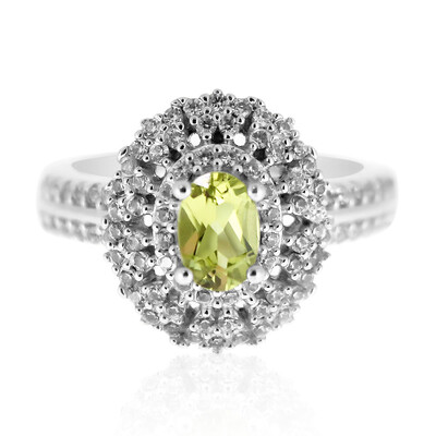 Zilveren ring met een Mali Granaat