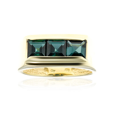 Gouden ring met indigolieten (CUSTODANA)