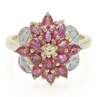 Gouden ring met Onverhitte Padparadscha Saffieren