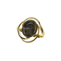Zilveren ring met een Versteend hout