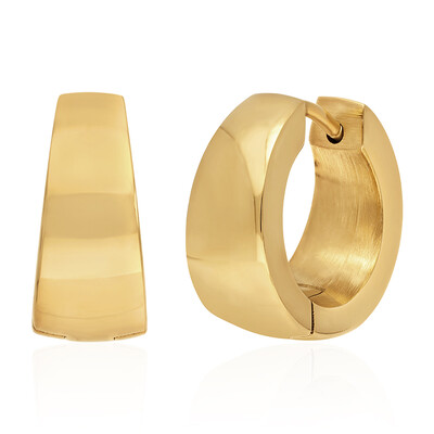 Oorbellen (Juwelo Style)