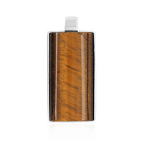 Zilveren hanger met een tijgeroog