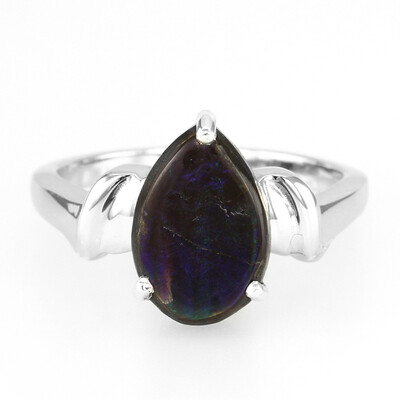 Zilveren ring met een ammoliet