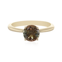 Gouden ring met een Oregon zonnesteen