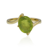 Gouden ring met een Braziliaanse Groene Opaal (Tenner Diniz)