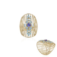 Gouden ring met een tanzaniet (Ornaments by de Melo)