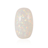 Edelsteen met een Welo-opaal 13,348 ct