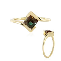 Gouden ring met een Oregon zonnesteen (AMAYANI)