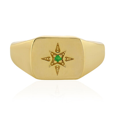 Zilveren ring met een Tanzania Tsavoriet
