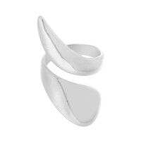 Zilveren ring