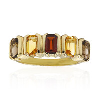 Zilveren ring met een Mozambique granaat