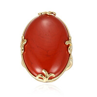 Zilveren ring met een rode jaspis