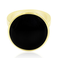 Zilveren ring met een onyx