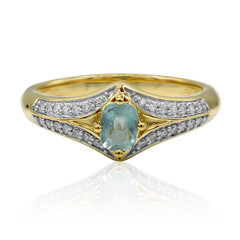 Gouden ring met een Grandidieriet (AMAYANI)