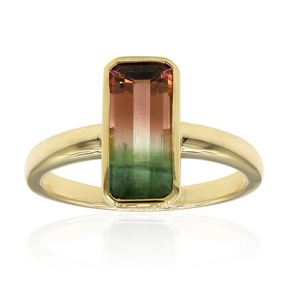 Gouden ring met een meerkleurige toermalijn