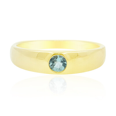 Gouden ring met een Nigeriaanse Paraiba Toermalijn