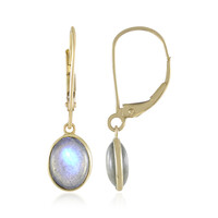 Gouden oorbellen met Blauwe Minary Labradorieten
