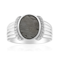 Zilveren ring met een Aletai meteoriet