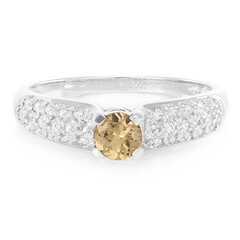 Zilveren ring met een Malaya granaat